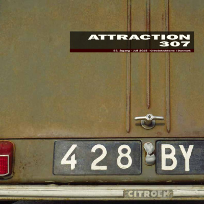 Attraction 307