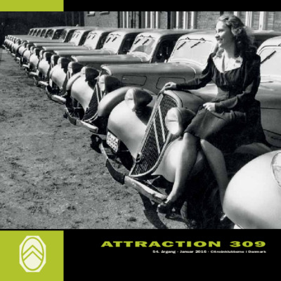 Attraction 309