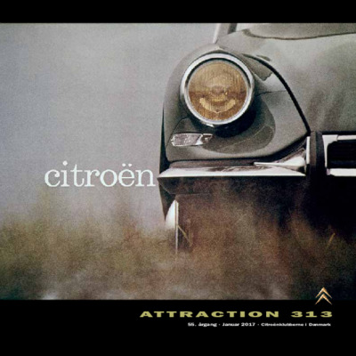 Attraction 313